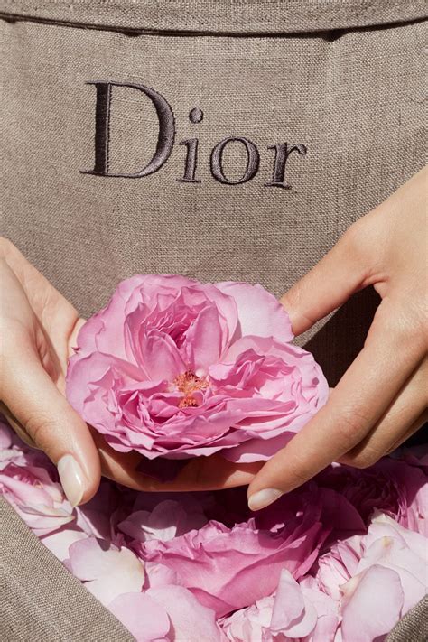 tutorial dior flower|dior roses.